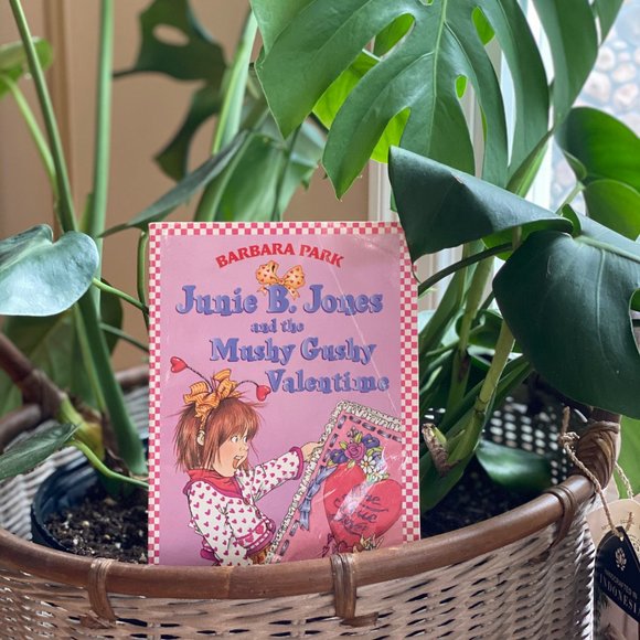 Barbara Park's Junie B Book Collections. - Picture 8 of 11